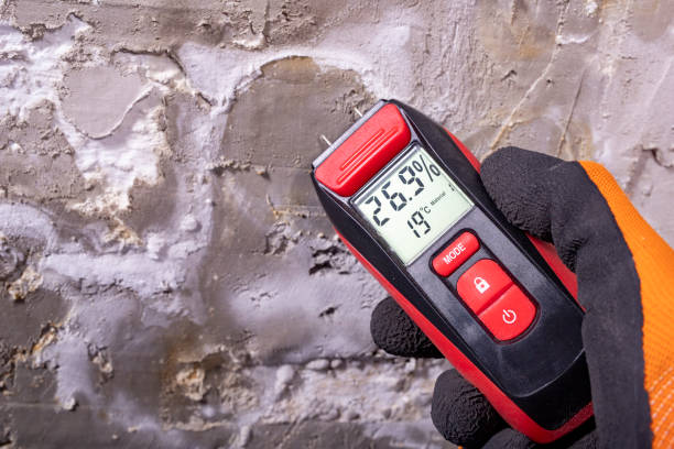 Best Residential Mold Removal  in Fairfield, IA
