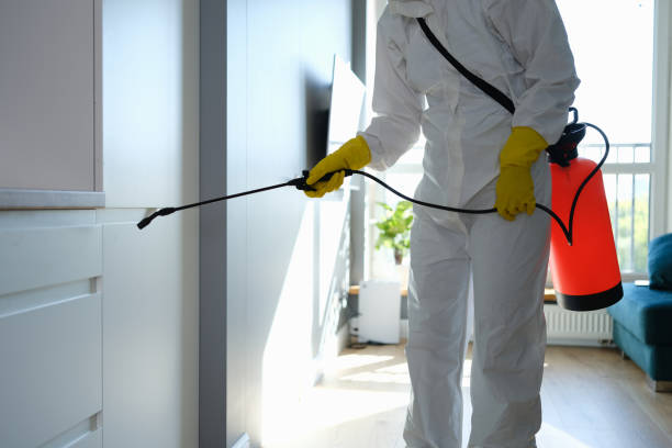 Attic Mold Removal in Fairfield, IA